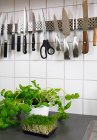 Herbs and utensils in kitchen — Stock Photo