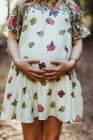 Immagine ritagliata della donna incinta che tocca lo stomaco — Foto stock
