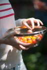 Immagine ritagliata di Donna che tiene setaccio con pomodori — Foto stock