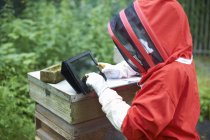 Imker steht neben Bienenstock und nutzt digitales Tablet — Stockfoto