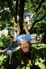 Дети играют на дереве — стоковое фото