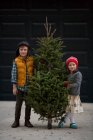 Menina e menino segurando árvore de Natal — Fotografia de Stock