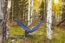 Donna rilassante in amaca, Flagstaff, Arizona, Stati Uniti d'America — Foto stock