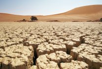 Трещины почвы в пустыне — стоковое фото