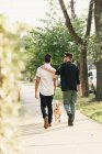 Вид сзади на молодую пару мужчин, гуляющих с собакой на пригородном тротуаре — стоковое фото