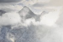 Birds flying through clouds over mountain range, Switzerland — Stock Photo
