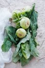 Légumes-racines feuillus — Photo de stock