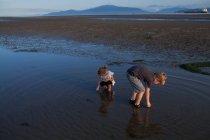 Children picking up seashells on beach, Vancouver, British Columbia, Canada — Stock Photo