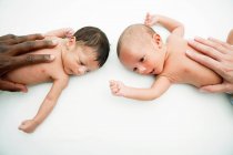 Manos multirraciales en el estómago del bebé - foto de stock