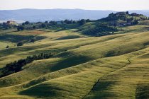 Hügelige Landschaft bei Siena — Stockfoto