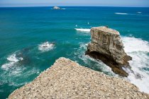 Gannet rocks on Muriwai Beach — Stock Photo