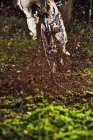 Обрезанный горный велосипедист на грязной дорожке — стоковое фото