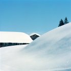 Здание и деревья в снежном ландшафте с голубым небом — стоковое фото