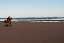 Femme adulte moyenne équitation cheval sur la plage — Photo de stock