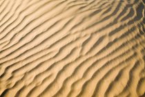 Sand ripples in a desert, full frame — Stock Photo