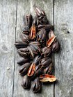 Pile of mussels on wooden table — Stock Photo