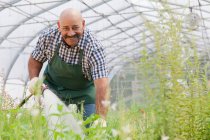Uomo maturo irrigazione piante in giardino centro, ritratto — Foto stock