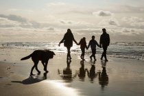 Семья и собака у моря — стоковое фото