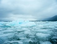 Icebergs laguna no parque nacional de san rafael — Fotografia de Stock