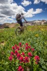 Ciclista de montaña en sendero verde - foto de stock