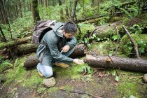 Чоловік дивиться на грибок у лісі — стокове фото