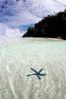 Paesaggio dell'isola con vista subacquea — Foto stock