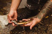 Hiker holding fish on river bank, Mineral King, Sequoia National Park, California, USA — Stock Photo