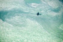 Тінь літака над хмарою — стокове фото