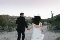 Bride and groom in arid landscape, holding hands, running, rear view — Stock Photo