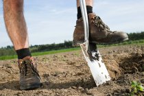 Farmer digging soil in field, cropped shot — Stock Photo