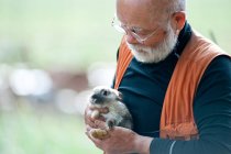 Älterer Mann hält Haustier Kaninchen — Stockfoto