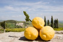 Yellow Sicilian lemons on stone — Stock Photo