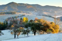 Морозное утро в районе села Красник — стоковое фото