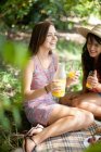 Mujeres haciendo picnic juntas en el parque - foto de stock
