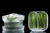 Замороженные травы в кубиках льда — стоковое фото