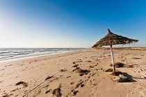 Парасоль на песчаном пляже — стоковое фото