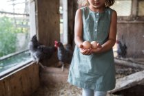 Imagen recortada de Chica en gallinero, sosteniendo huevos frescos - foto de stock