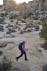 Caminatas de mochileros con bastones de trekking en el Parque Nacional Joshua Tree en el desierto de Mojave en el sur de California Noviembre 2012. - foto de stock
