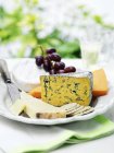 Sélection de fromages avec craquelins de chêne et raisins sur table de jardin — Photo de stock