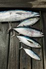 High angle view of freshly caught fish on wooden surface of boat — Stock Photo