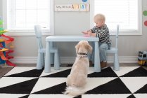 Мальчик играет с розовым тестом на столе, собака сидит рядом со столом, наблюдая — стоковое фото