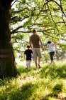 Отец и сыновья гуляют в лесу — стоковое фото