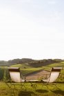 Стулья с видом на виноградник — стоковое фото