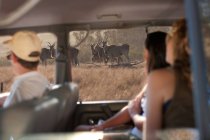 Personnes regardant la faune par la fenêtre du véhicule, Stellenbosch, Afrique du Sud — Photo de stock