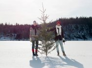 Couple with christmas tree — Stock Photo
