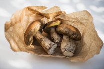 Paper bag with porcini mushrooms in sunlight — Stock Photo