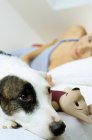 Cão na cama com brinquedo e proprietário — Fotografia de Stock