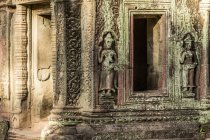 Esculturas em Ta Prohm Templo ruínas — Fotografia de Stock
