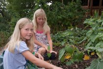 Girls gardening in vegetable garden — Stock Photo
