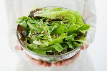 Mãos femininas segurando tigela de salada — Fotografia de Stock